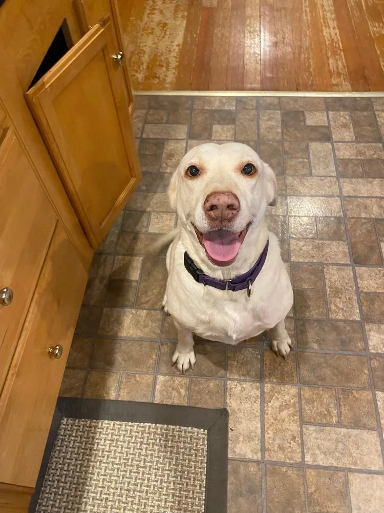 Lucky  Aka “lucky thumbnail 4