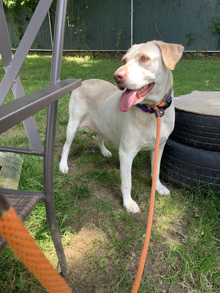 Lucky  Aka “lucky thumbnail 5