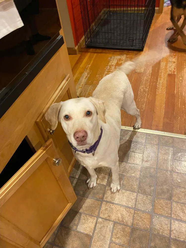 Lucky  Aka “lucky thumbnail 6