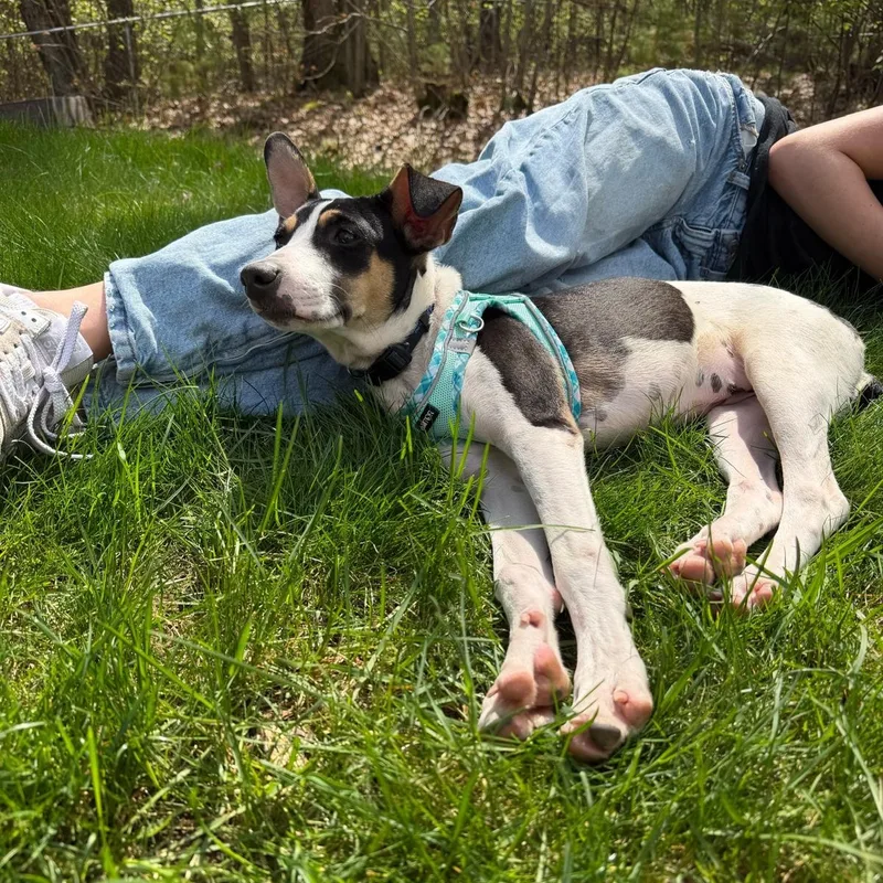 Bella thumbnail 5