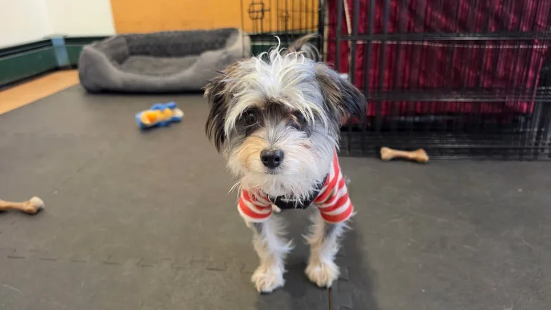 Bert And Ernie thumbnail 2