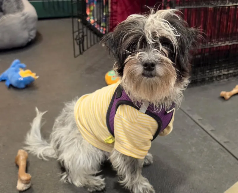 Bert And Ernie thumbnail 3