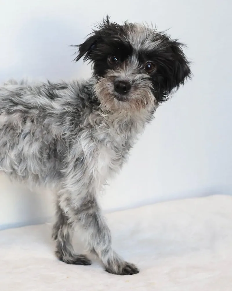 Bert And Ernie thumbnail 5