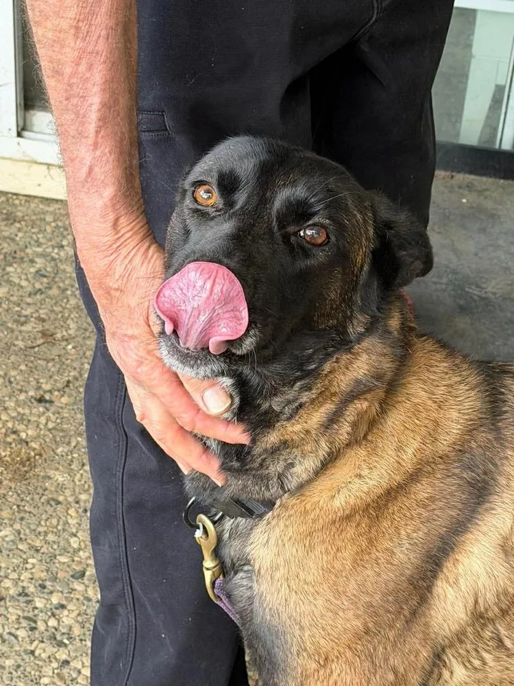 Artura Located In Ca thumbnail 2