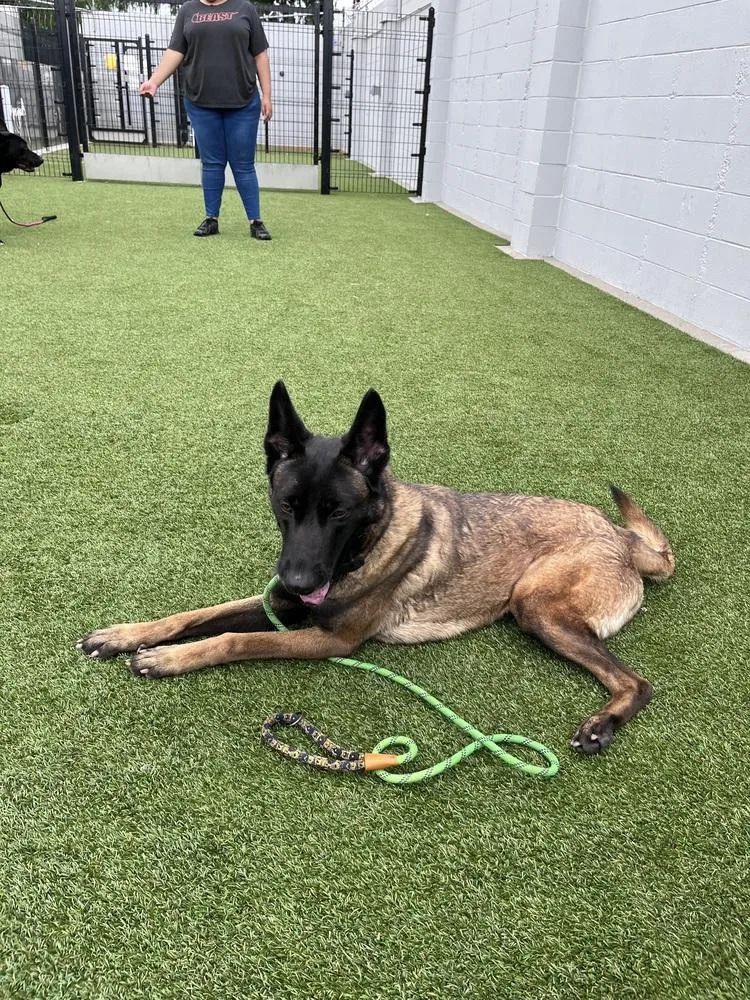 Artura Located In Ca