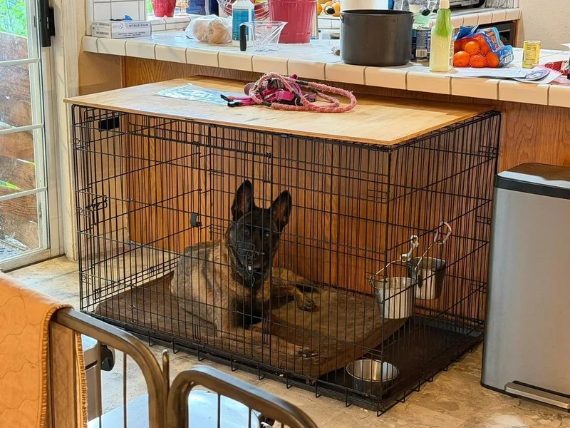 Artura Located In Ca thumbnail 3