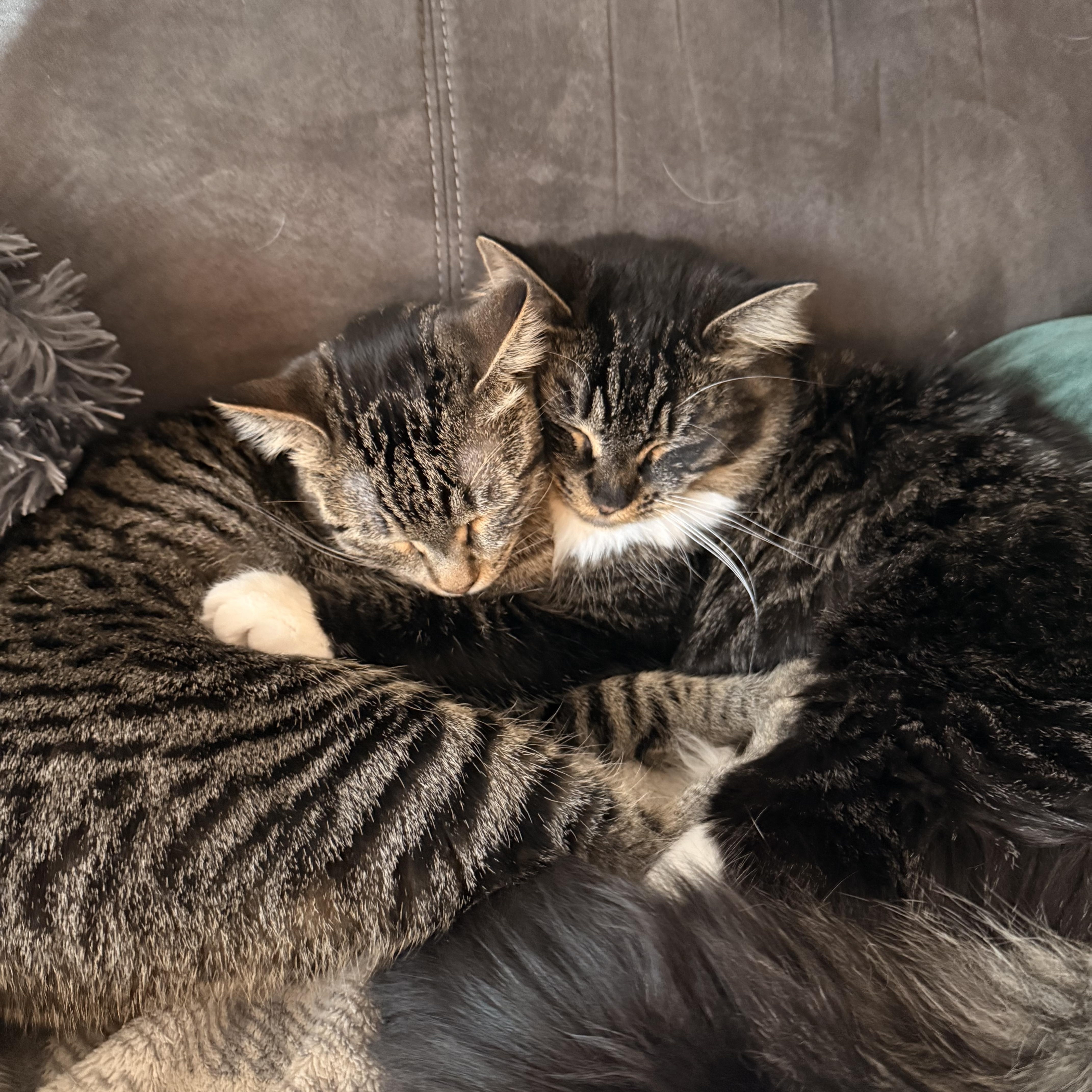 Billie Jo And Bobby thumbnail 2
