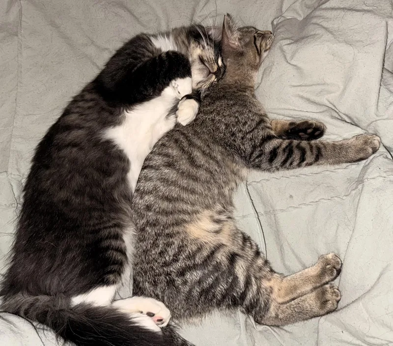 Billie Jo And Bobby thumbnail 3