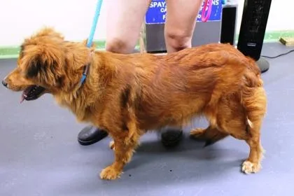 Lolabear thumbnail 3