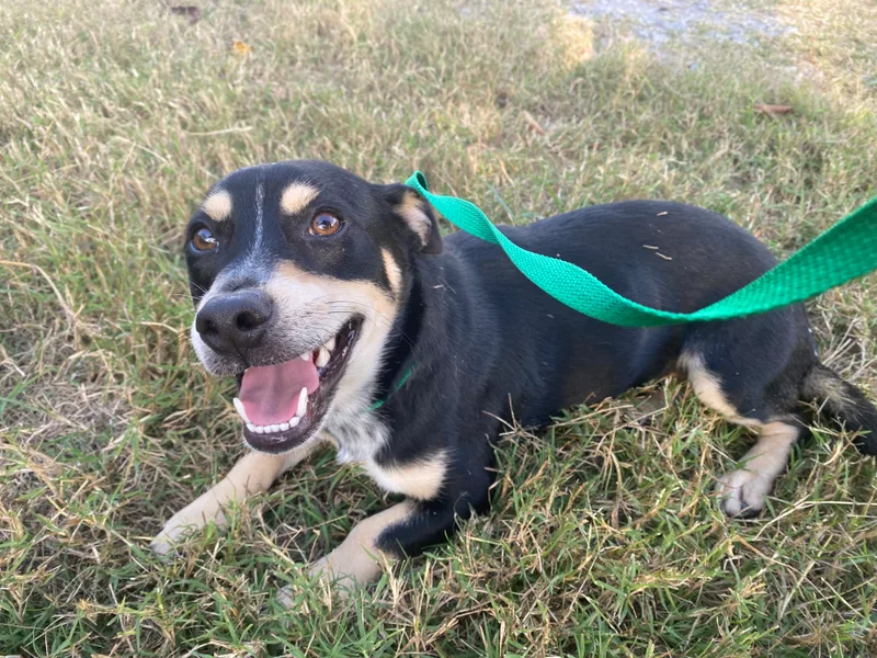 Miata Aka Mia thumbnail 2