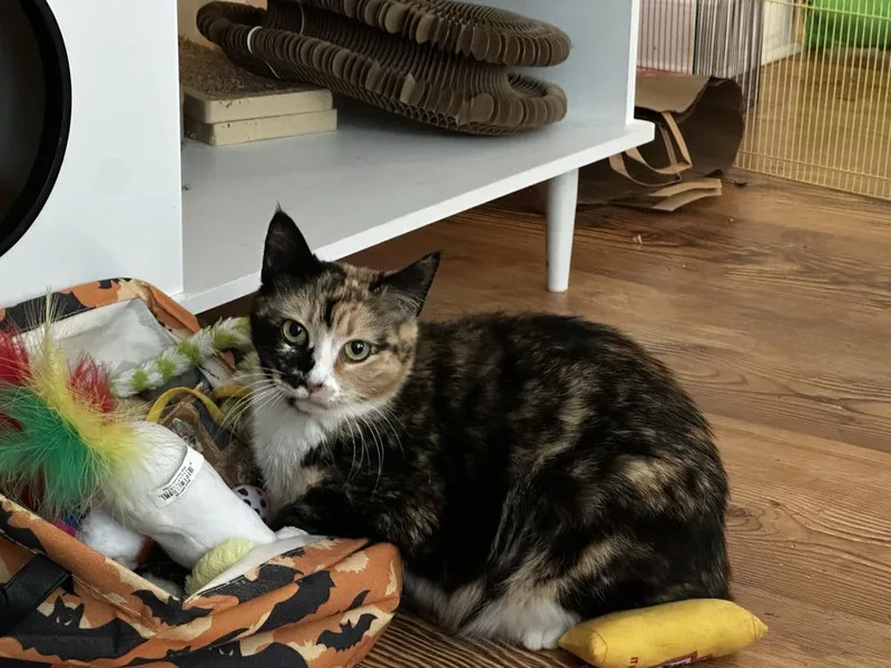 Fiona