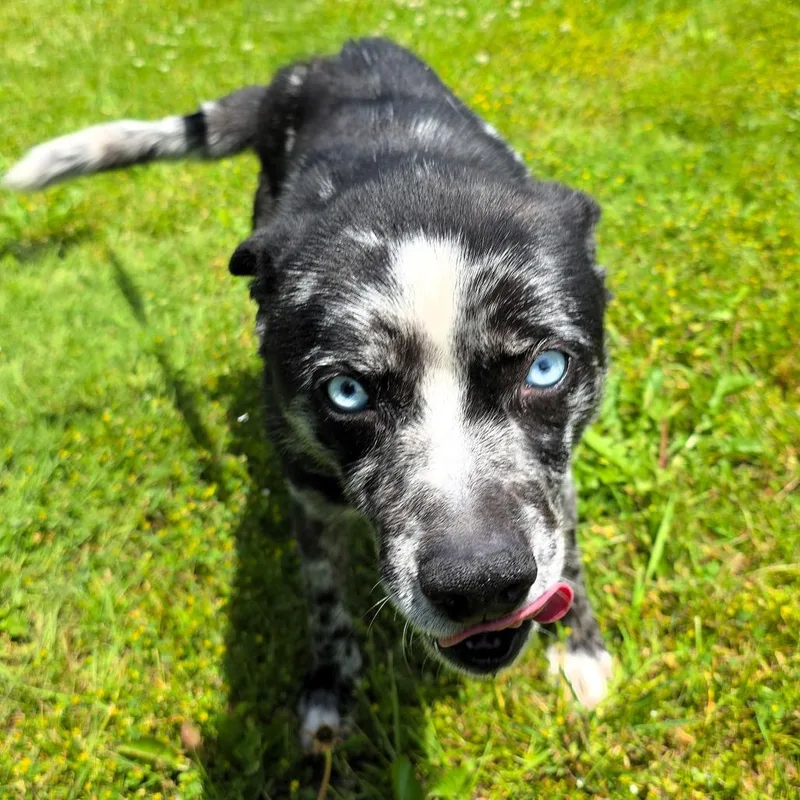 Minnie