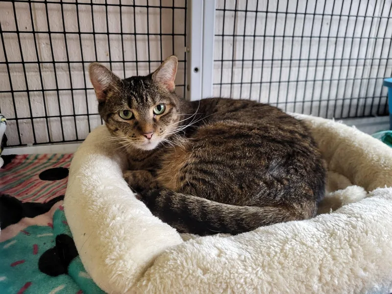 Mini & Sassy thumbnail 2