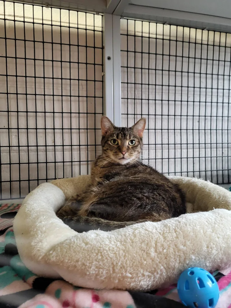 Mini & Sassy thumbnail 4