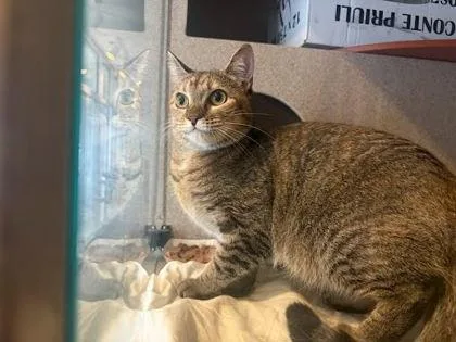 Lupita