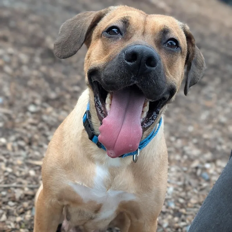 Venus thumbnail 2
