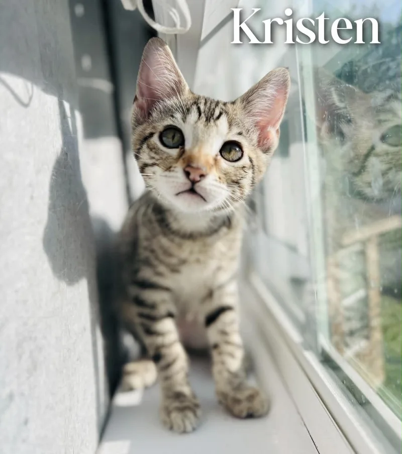 Kristen thumbnail 4