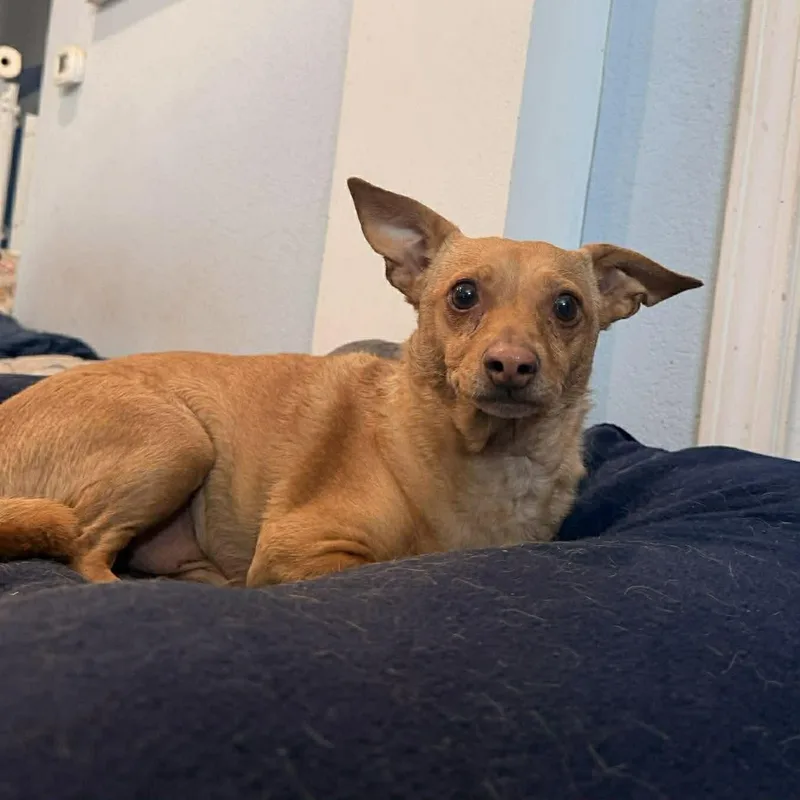 Jake & Finn thumbnail 4