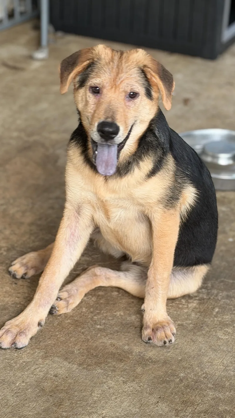 Sassy thumbnail 3