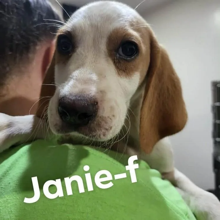 Janie thumbnail 6