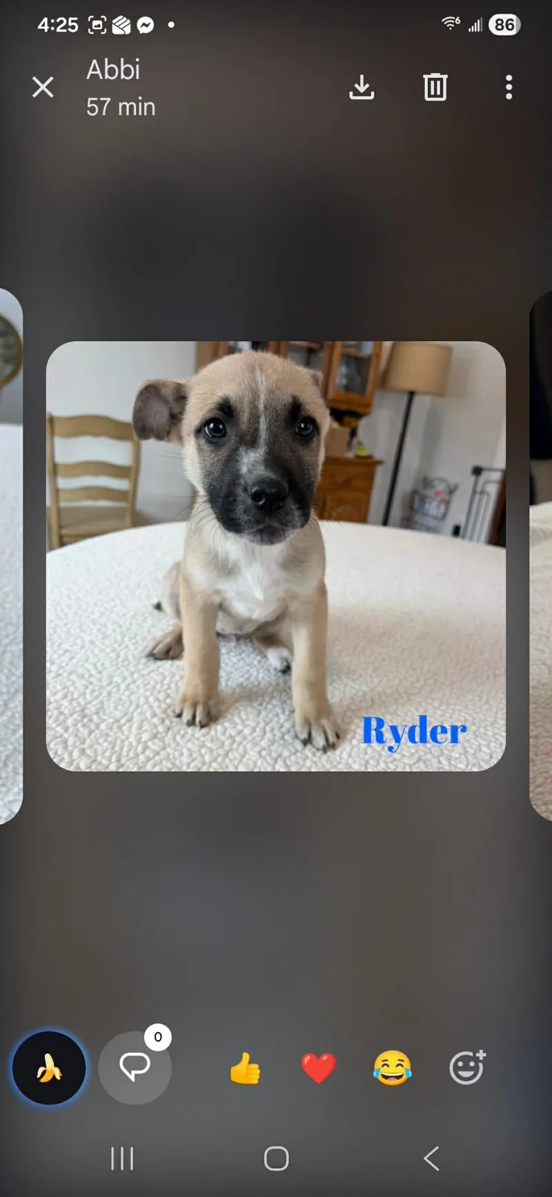 Ryder thumbnail 2