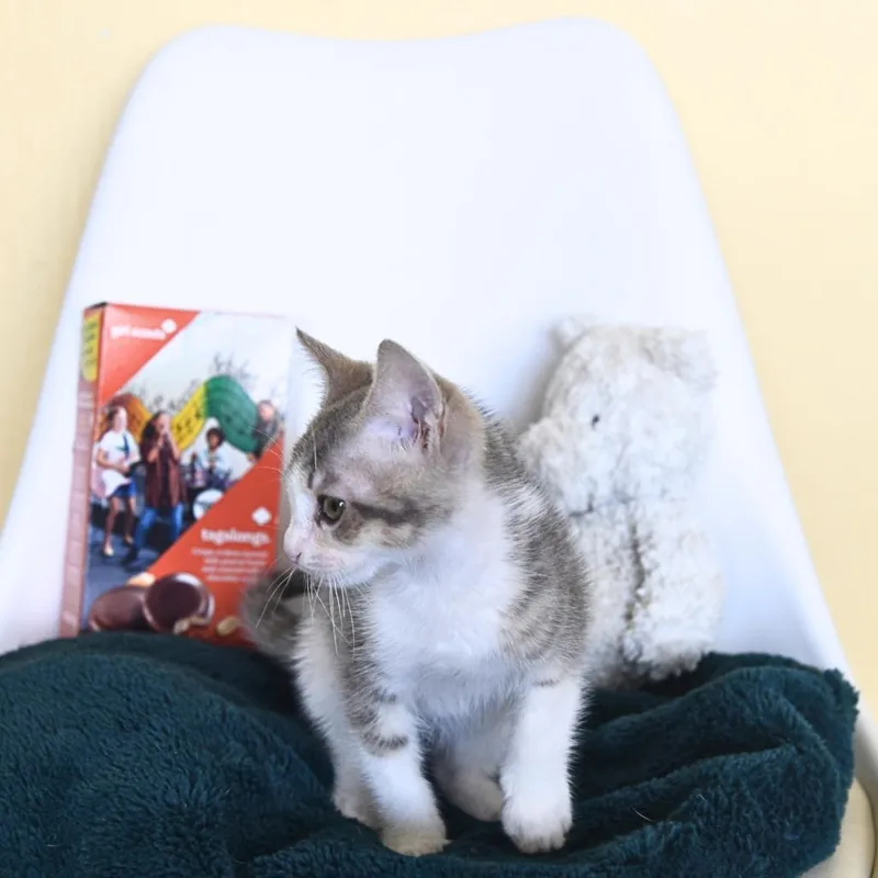 Tagalong thumbnail 5