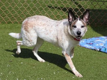 Tallulah Belle thumbnail 2