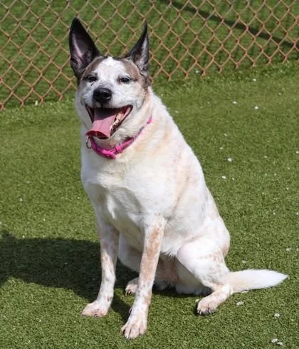 Tallulah Belle thumbnail 3