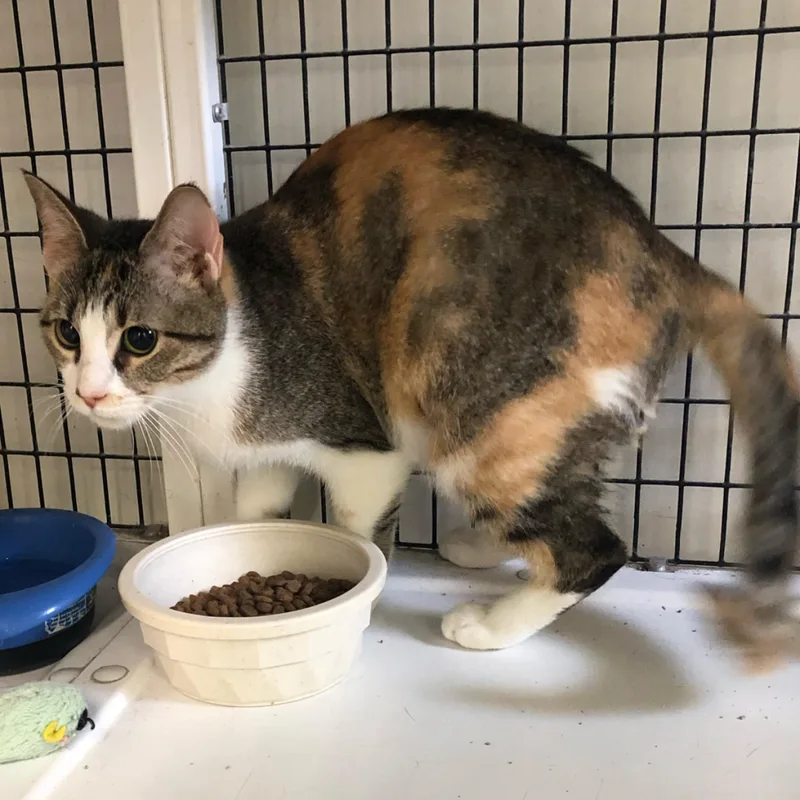 Margarita thumbnail 2