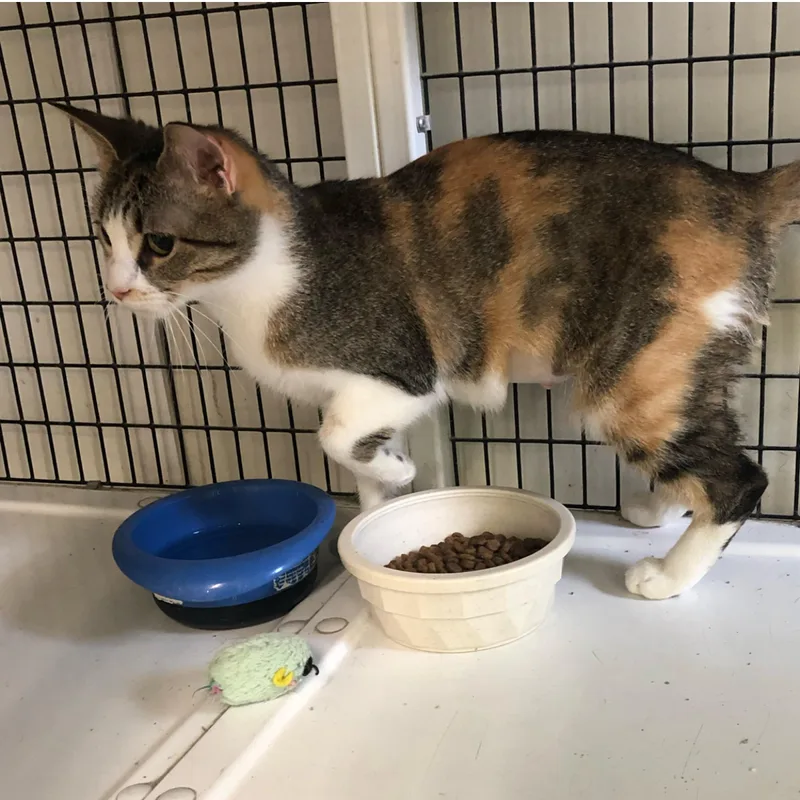 Margarita thumbnail 3