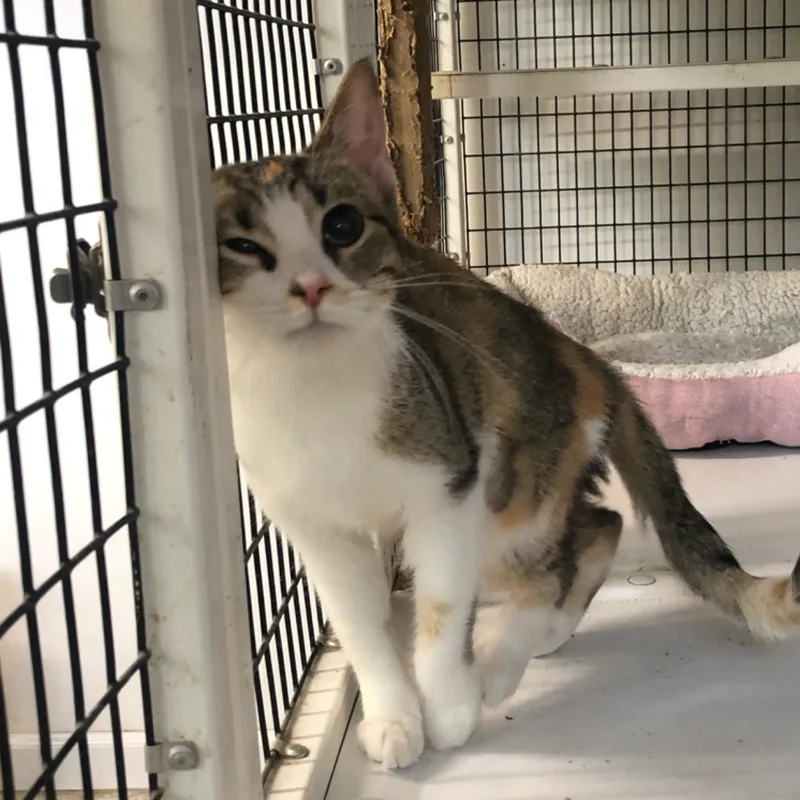 Margarita thumbnail 5