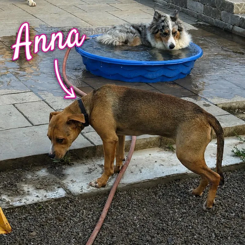 Anna thumbnail 3