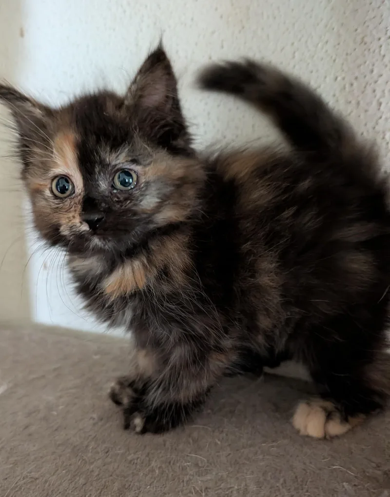 Sabrina thumbnail 2