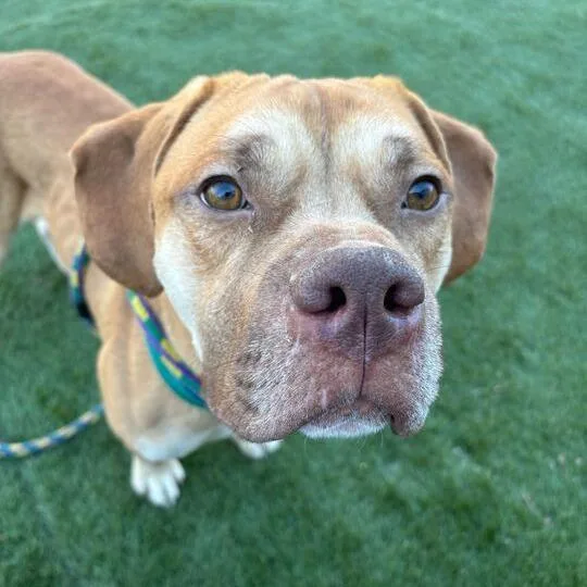 Tapestry thumbnail 2