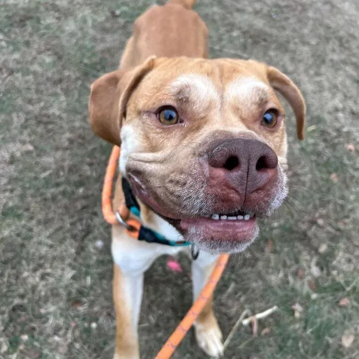 Tapestry thumbnail 3