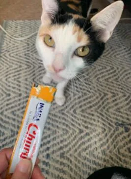 Maribelle thumbnail 2