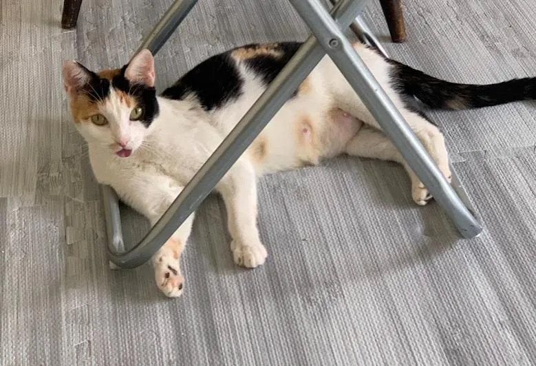 Maribelle thumbnail 4