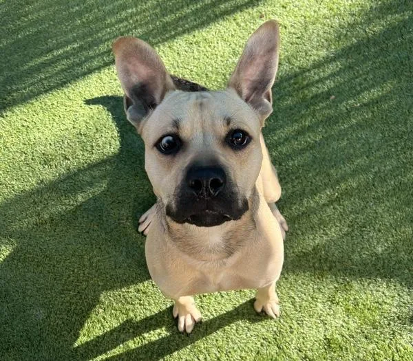 Caramelldansen thumbnail 4