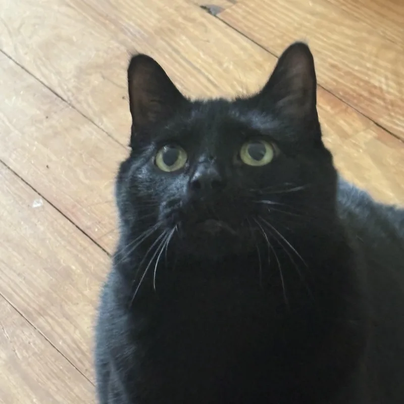 Missy thumbnail 3