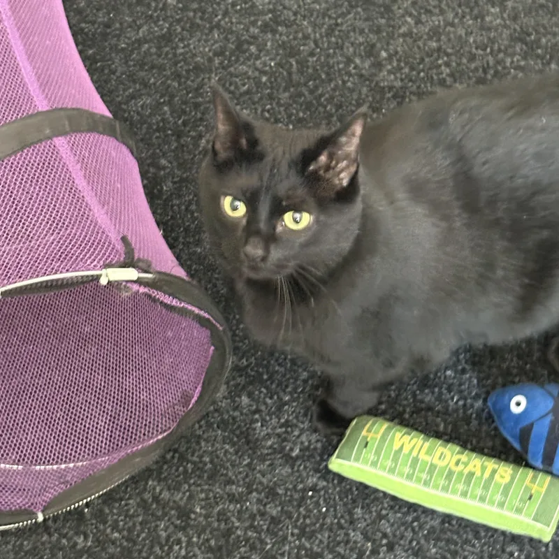Missy thumbnail 4