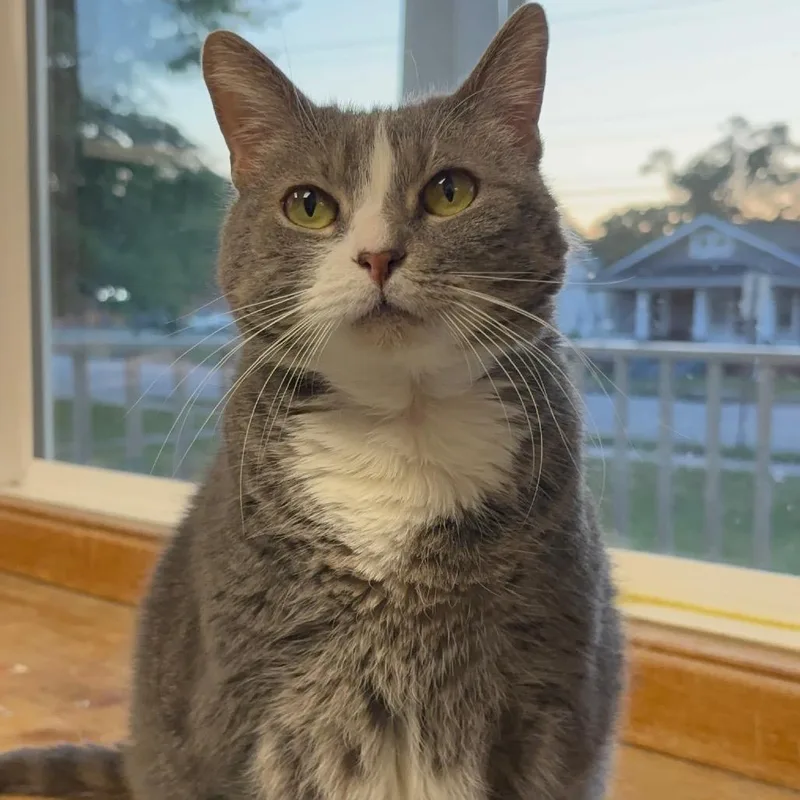 Ellie Mae thumbnail 2