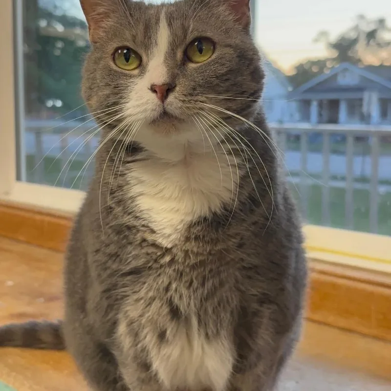 Ellie Mae thumbnail 4