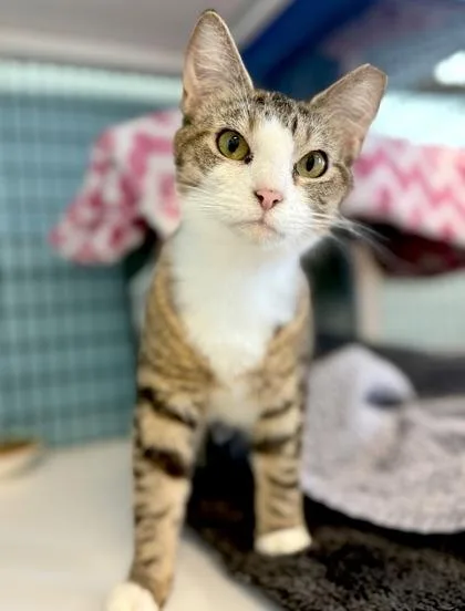 Whirlpool thumbnail 2