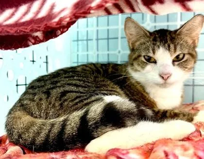 Whirlpool thumbnail 3