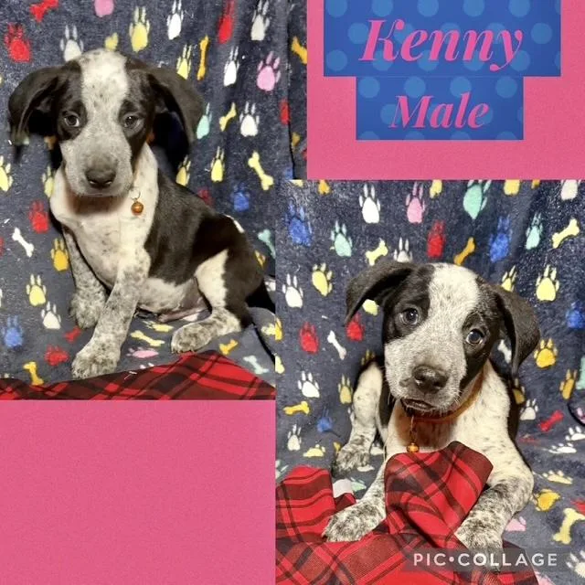 Kenny