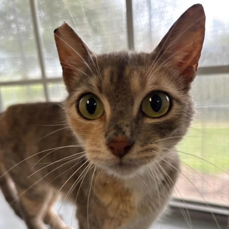 Survey Team thumbnail 2