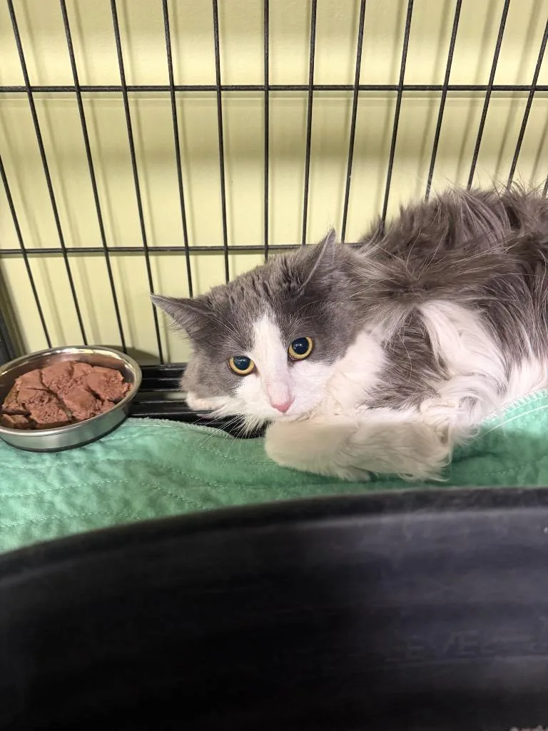 Vivian Smoker thumbnail 2