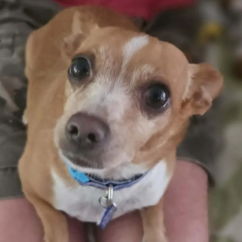 Sammy thumbnail 6