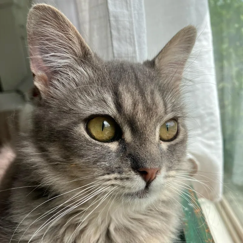 Svetlana thumbnail 2