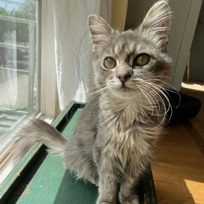 Svetlana thumbnail 3